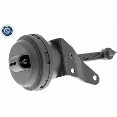 Vaico Q+, original equipment manufacturer quality MADE IN GERMANY Korting