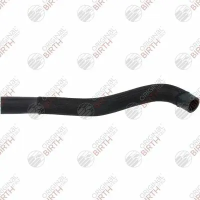 Alleen Vandaag Birth 54766