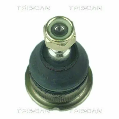 Triscan 8500 25501 Lage Kosten