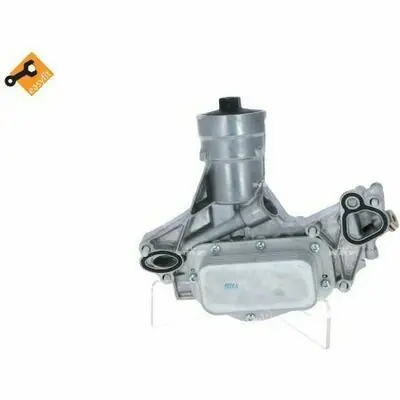 NRF EASY FIT Laatste Kans