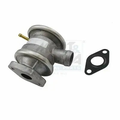 Meat & Doria 9651 Koop Vandaag