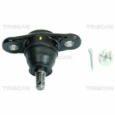 Triscan 8500 43532 Alleen Vandaag